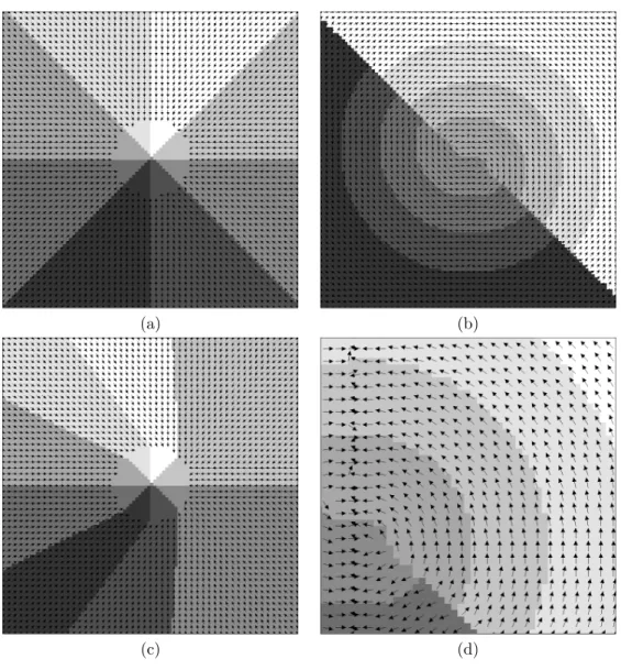 Fig. 4.1. Patchy decompositions with R = 8, N c = 32, N e = 50 and N = 100. Only few arrows are shown for clarity of visualization