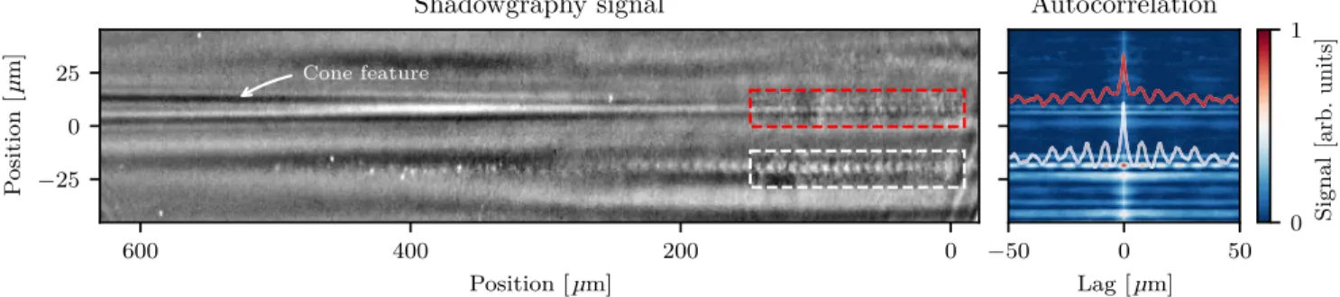 FIG. 2. Shadowgram of laser- and beam-driven plasma waves in the second gas jet. Left: Laser- and beam-driven plasma waves in the second gas jet (propagating to the right) after a free drift and spatial separation