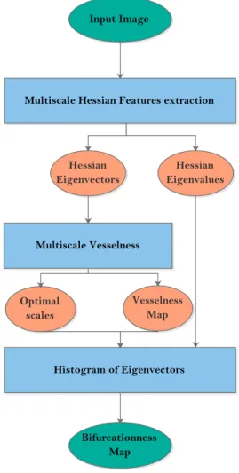 Figure 1. Overview of the multiscale bifurcation detection method.