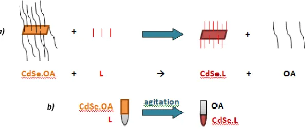 Figure II.12. a) Schematic illustration of biphasic ligands exchange reactions on CdSe NPLs