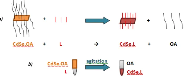 Figure II.12. a) Schematic illustration of biphasic ligands exchange reactions on CdSe NPLs