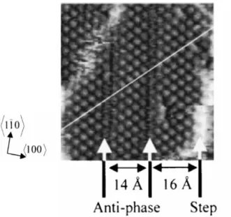 Fig. 1.14: STM image of S-c(2 × 2) phase with antiphase boundaries from Ref. 99.