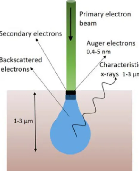 Fig. 2.13: Schematic image of the excitation volume in the sample interacting with an electron beam