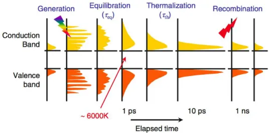 Figure 1.9 – Time evolution of carrier distribution after pulse solar excitation.