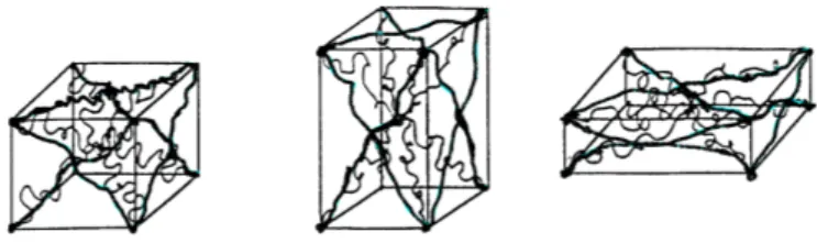 Figure  1.  Entanglement  of  the  eight-chains  rubber  network. 