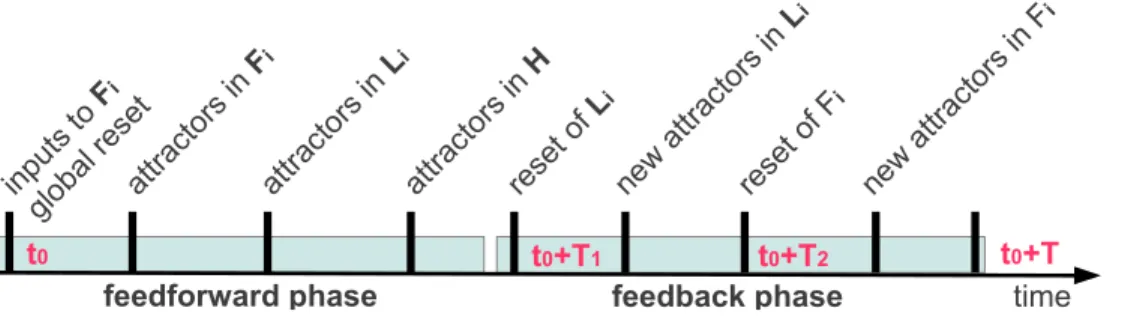 Fig. 4. Time course of a single input presentation to the network starting at simulation time t 0 