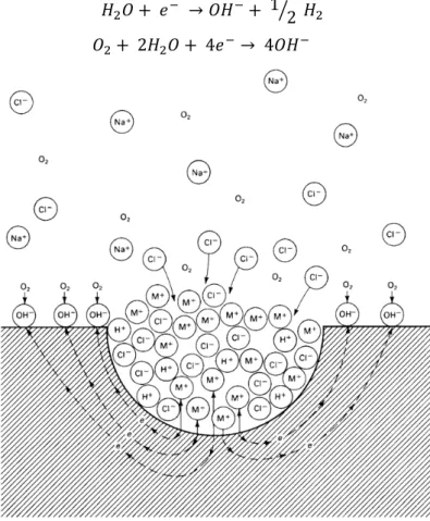 Figure 4: Autocatalytic process occurring during the propagation of a pit in aerated NaCl solution