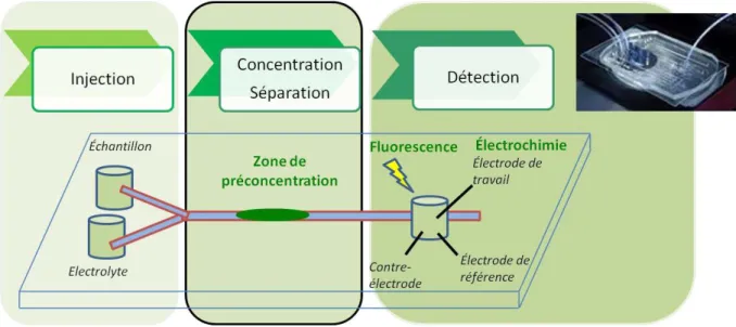 Figure  1  :  Schéma du microsystème  d’analyse totale envisagé, intégrant une zone de préconcentration contenant des  ligands sélectifs