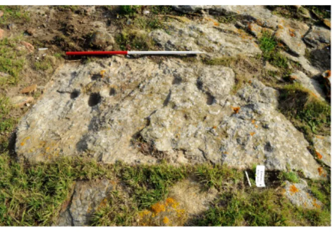 Fig. 7 – Affleurement à  cupules à la pointe sud du  Ledenez Vraz de Kemenez  (relevés H