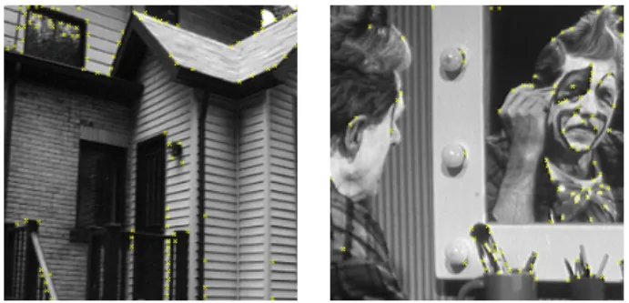 Figure 13. 12 first modes of the local jet representation : clusters of the feature space back-projected in the image space
