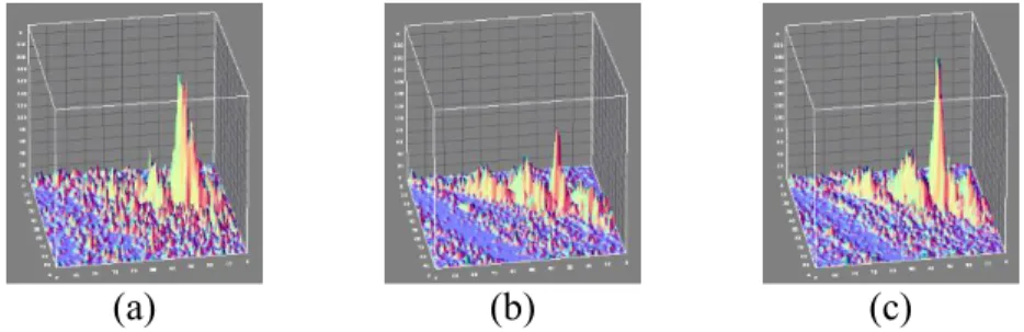 Figure 4:    Influence of the multi-scale: Topographic close-up around a  maximum of the 1-to-1 line Hough transform, using 1 single fine scale (a): 