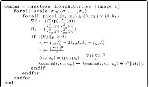 Table 2:  1-to-1 circle Hough transform based on multi-scale gradient and  curvature. 