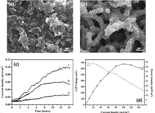 Figure 1.18 – Nickel foams covered by PANI or PANI/CNT nanocomposite layer. SEM images of (a) PANI and (b)  PANI/CNT composite, (c) current monitoring in presence of glucose at 0.1V, (d) polarization curve