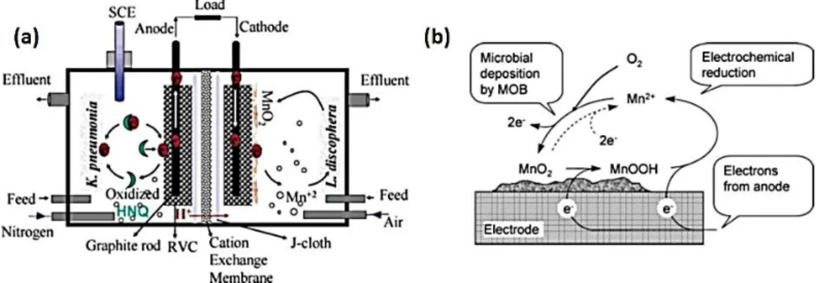 Figure 1.20  – Glucose/MnO2 full-MFC  [172] . (a) Scheme of the MFC, glucose is microbially oxidized at the anode  (mediator: 2-hydroxy-1,4- naphthoquinone) and (b) manganese oxide microbially mineralized is reduced at the 