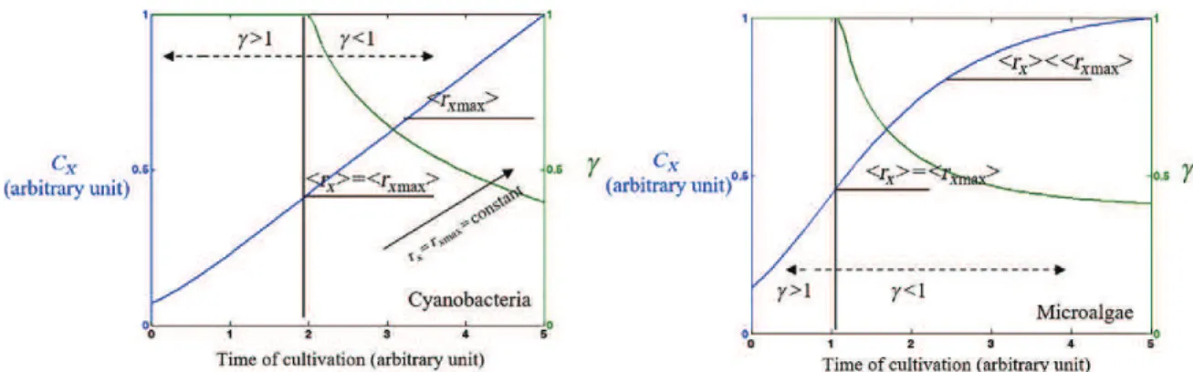 FIG. 26.5 Typical evolution of biomass volumetric productivity (left) and biomass concentration (right) as a func- func-tion of the dilufunc-tion rate for both cyanobacteria and microalgae (continuous producfunc-tion in light-limited condifunc-tions).