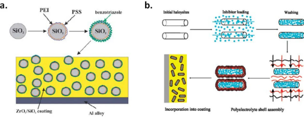Figure 3.1: Schematic illustration of the fabrication of polyelectrolyte shells with entraped inhibitors on (a) SiO 2 and (b) haloysites hosts