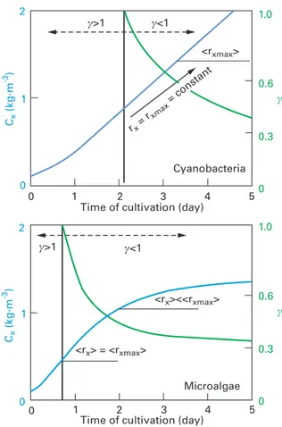 Fig. 10.9: Time course of biomass concentration during a batch cultivation of Arthrospira platen- platen-sis (cyanobacteria, left) and Chlamydomonas reinhardtii (microalgae, right) (light-limited  condi-tions)