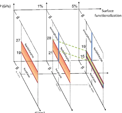 Figure I-17. Phase diagram of TiO 2  nanoparticles, as a function of particle size, pressure  and surface functionalisation