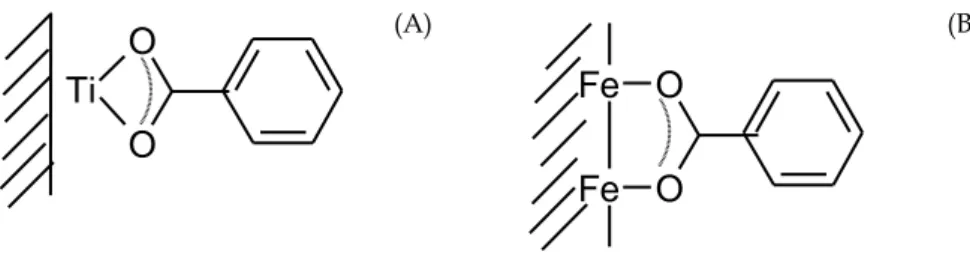 Fig. 5. Proposed surface complexes of benzoate on (A) TiO 2  and (B) goethite. 