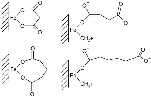 Fig. 7. Proposed structures of diacids adsorbed on hematite (Duckworth and Martin,  2001) 