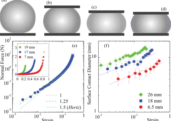 FIG. 1. (Color online) (a)–(d) A sequence of schematics of a 16-mm-diameter sphere compressed at strains of ε = 0, 0.2, 0.35, and 0.4.