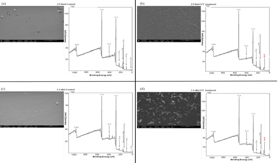 Figure 3. SEM micrography and XPS spectra of OSTE surfaces (a,b) 2.5 thiol and (c,d) 1.3 allyl) raw material for control (a,c) and after UV treatment (b,d)