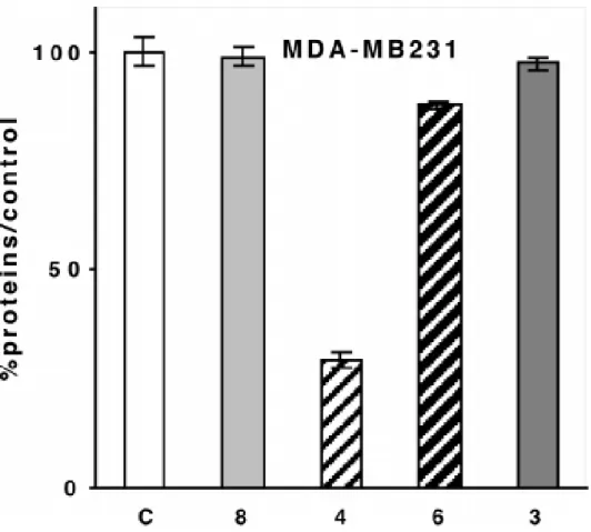 Figure  2.  Effect  of  1  µM  of  8  (OH-Tamoxifen),  of  the  ferrocenyl diphenols 4 and 6,  and of the organic phenol 3  (C  = control) on MDA-MB231 cells (breast cancer cell line,  ERα-negative) after 5 days of culture in medium without phenol red