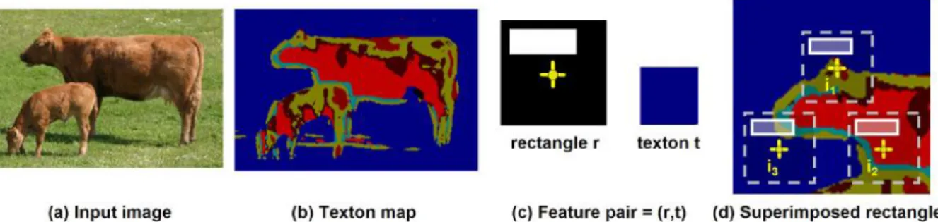 Figure 13: Texture shape by pairing texton index and relative location mask, according  to (Shotton, Winn, Rother, &amp; Criminisi, 2006) 