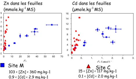 Figure 1. Relation entre la concentration en Zn et Cd dans des feuilles de laitues et la concentration effective  mesurée par DGT