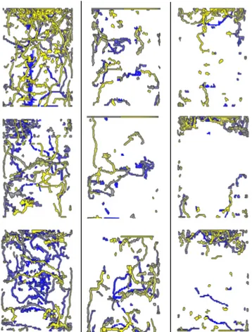 Figure 2. Reconstructions 3D des réseaux de galeries pour A. icterica pour le sol témoin (1 ère  colonne),  le sol pollué à 0,1 (2 ème  colonne) et à 0,5 ppm d’imidaclopride (3 ème  colonne)