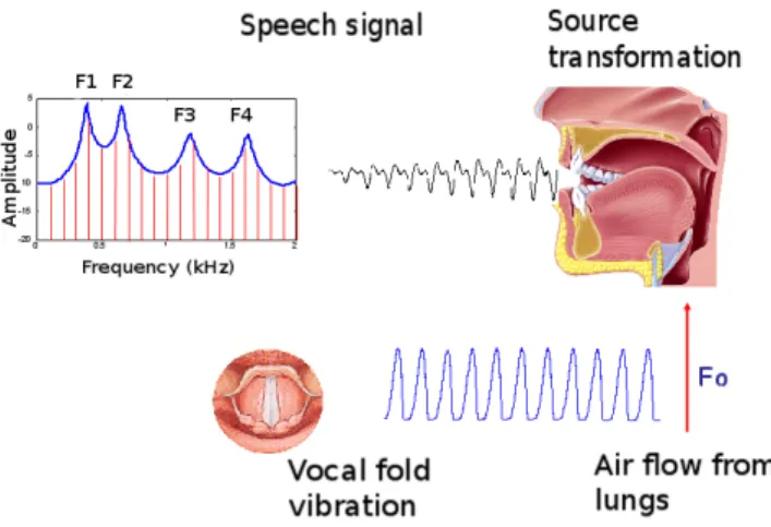 Figure 1: An articulatory synthesizer is a model of human vocal production.