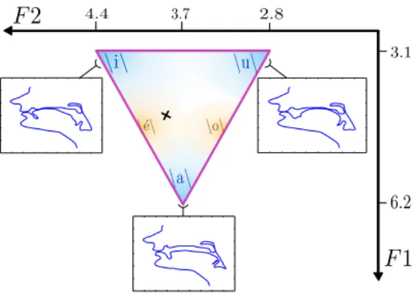 Figure 4: Variations of F1-F2 (in our Barks scale): they take place in what is called the vocalic triangle, where we represent the 5 canonical vowels, and a possible tract shape for 3 of them