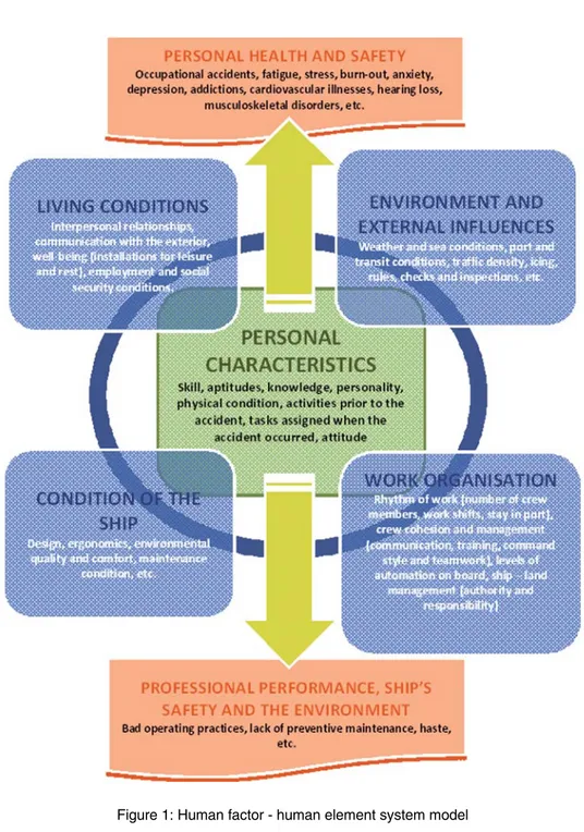 Figure 1: Human factor - human element system model