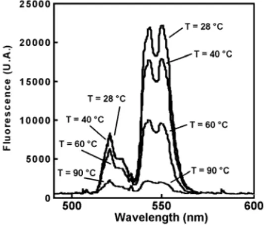 Fig. 1 :  Scanning electron micrograph of a fluorescent  particle glued at the end of an AFM tip