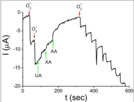 Figure  6.  Electrochemical  study  of  possible  interferent  compounds  such  as  uric  acid  (UA)  and  ascorbic  acid  (AA),  xanthine (XA) in the final determination of the anion- radical  superoxide
