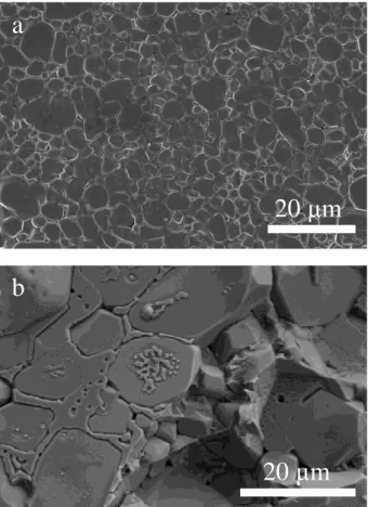 Fig. 9. SEM observation of the microstructure of Zr 2 O(PO 4 ) 2  ceramic doped with 5 wt