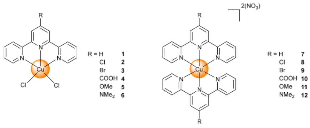 Figure 1. Chemical structures of the terminally-functionalised complexes of the type  [Cu(2,2´:6´,2´´-terpyridine)(Cl) 2 ]  1-6 and [Cu(2,2´:6´,2´´-terpyridine) 2 ][NO 3 ] 2  7-12