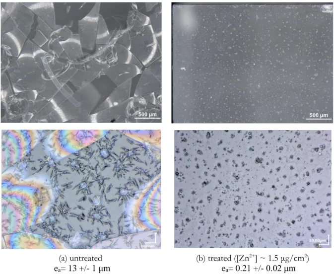 Fig. 2: Optical images of the surface of glass A plates several days after a V test (80 °C, 85 RH%,  3 days), (a) untreated, (b) treated (ZP1.5) prior to the V test