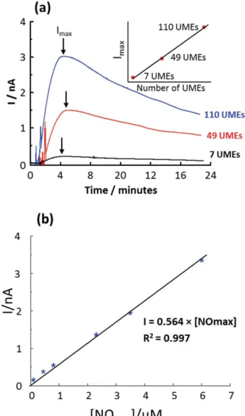 Fig. 6 shows the sensitivities of the modified UMEs toward nitrite, hydrogen peroxide, ascorbic acid and dopamine compared to their sensitivity to NO