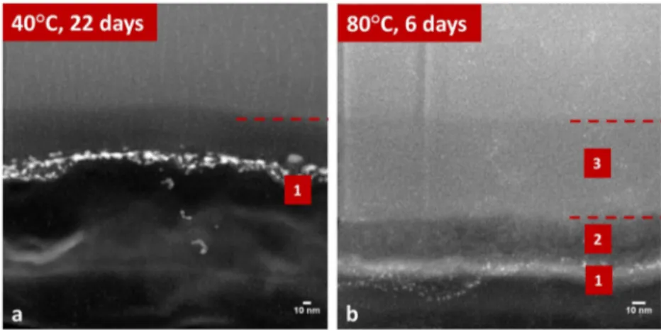 Fig. 5 STEM images of the edge of alteration layer of SL glass. STEM image (black ﬁ eld) of the edge of the SL glass plate aged at 40 °C, 85 RH
