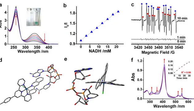 Figure 3 Photoredox reaction between NADH and complex 1 under 463 nm blue-light  irradiation