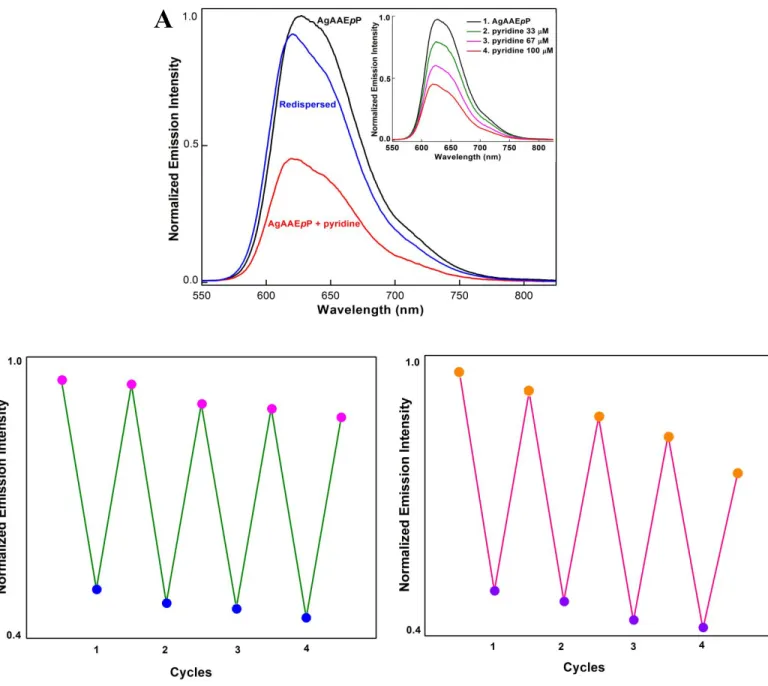 Figure 8A . Normalized emission response of AgAAEpP to pyridine. AgAAEpP (100 μM) was 