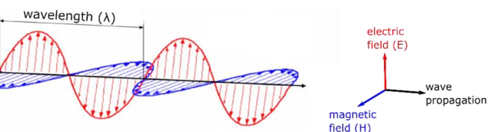 Figure 3.1. Composantes d’une onde électromagnétique. L’onde plane incidente est composée d’un champ  électrique et d’un champ magnétique tous deux orthogonaux (adapté de Tang et al, 2015) 