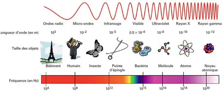 Figure 1.1. Positionnement des micro-ondes dans le spectre fréquentiel (d’après Perino et Chemat, 2015) 