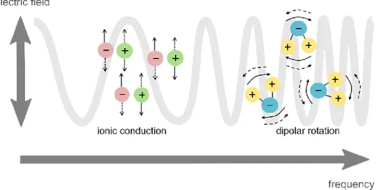 Figure 2.1. Représentation schématique des deux principaux mécanismes liés au chauffage par micro-ondes  dans la bande UHF : la rotation dipolaire et la conduction ionique 