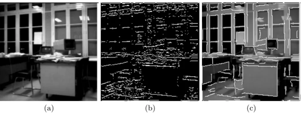 Fig. 5. (a) “Desk” image (b) Horizontal direction image, localized on gradient maxima, p white = 0.09 (c) In white: segments which have a meaningful length.
