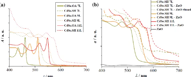 Figure 1. UV-VIS absorption spectra of (a) CdSe NPLs of different thicknesses (7, 9 and 11 layers)