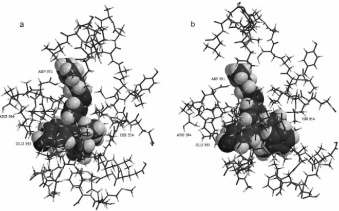 Figure 4. Representations of the (a) E and (b) Z isomer of 4b docked in ERα. 
