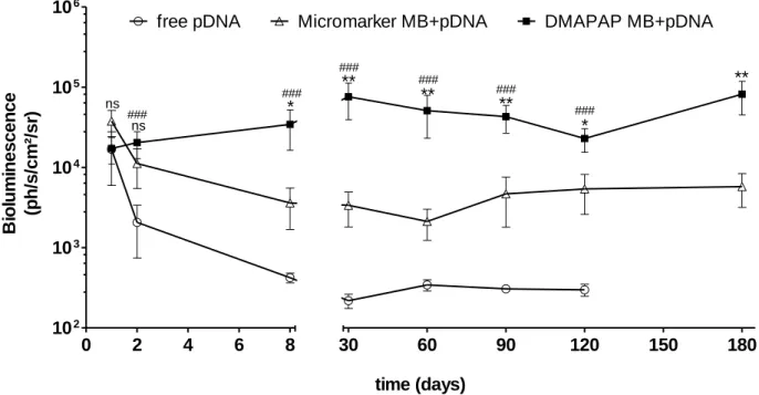 Figure  6:  Long  lasting  lucife rase  gene  expression  in  the  liver  following  sonoporation  with  DMAPAP/pFAR4-LUC  complexes
