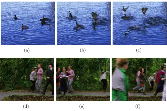 Figure 6: Subfigure (a), (b) and (c) are frame 41, 51 and 61 of “DucksTake- “DucksTake-Off”
